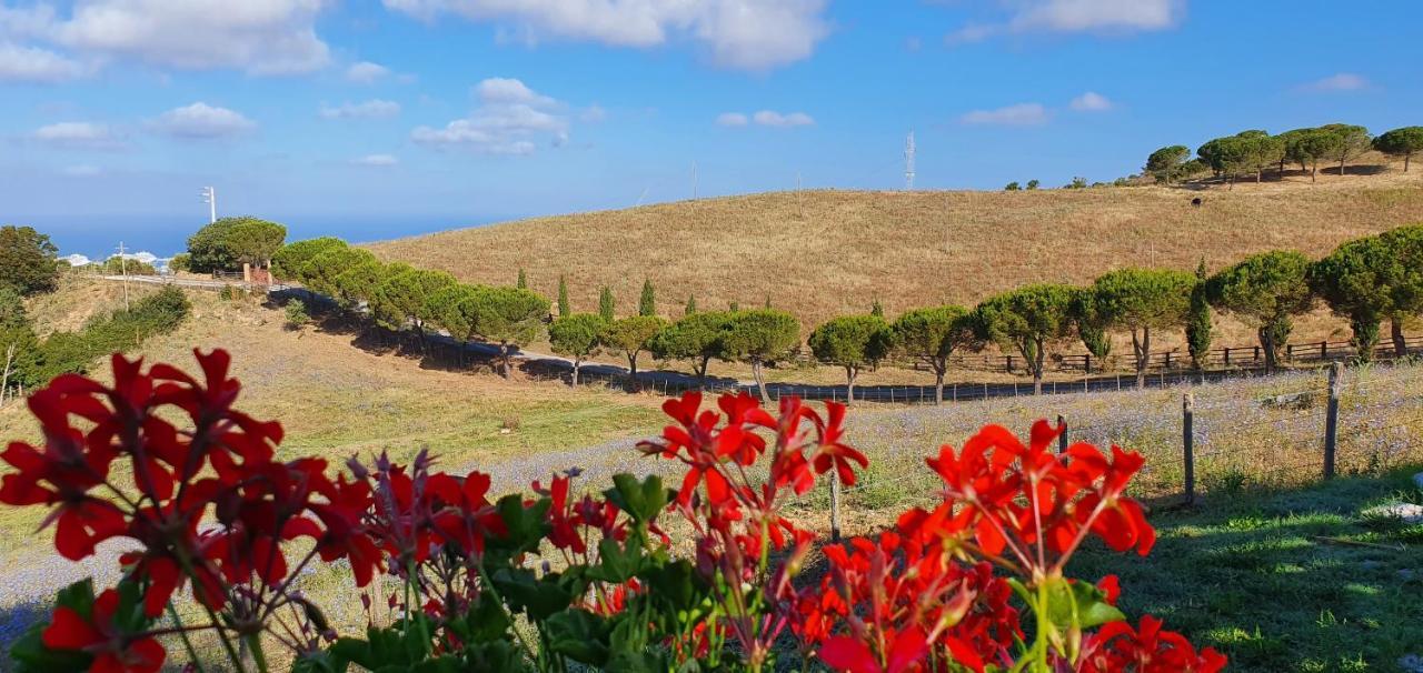 Hotel Tenuta Dell'Argento Resort شيفيتافيكْيا المظهر الخارجي الصورة